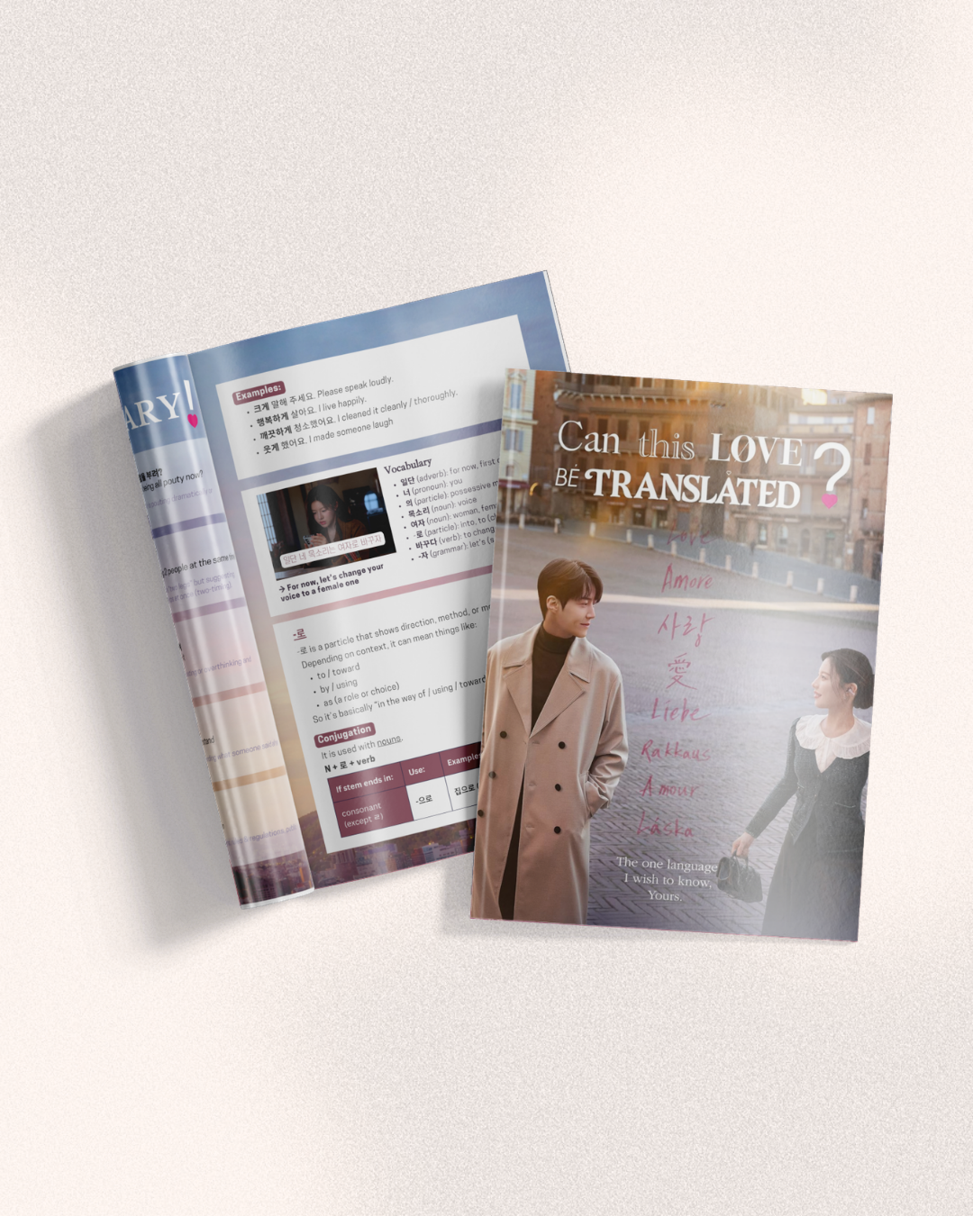 CAN THIS LOVE BE TRANSLATED